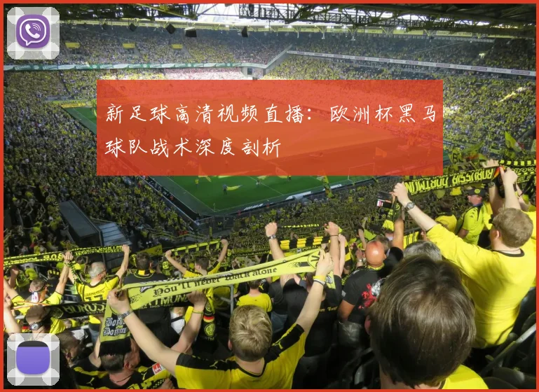 新足球高清视频直播：欧洲杯黑马球队战术深度剖析