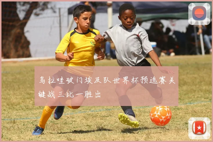 乌拉哇破门埃及队世界杯预选赛关键战三比一胜出