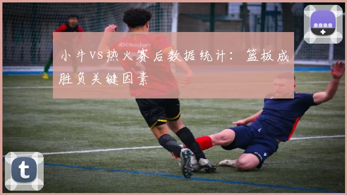 小牛vs热火赛后数据统计：篮板成胜负关键因素