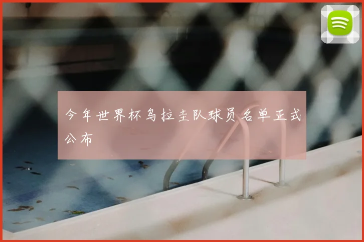 今年世界杯乌拉圭队球员名单正式公布