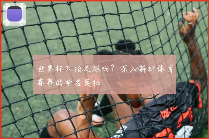 世界杯只指足球吗？深入解析体育赛事的命名奥秘