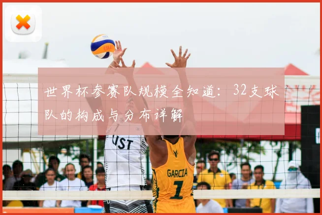 世界杯参赛队规模全知道：32支球队的构成与分布详解