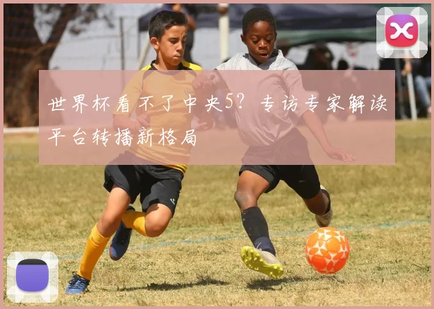 世界杯看不了中央5？专访专家解读平台转播新格局